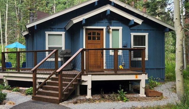 Homewood Cabin Among the Pines