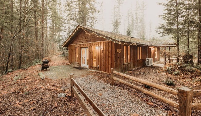 Maple Falls Cabin #82 - Wood Stove - WiFi - Pets Ok