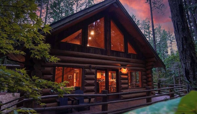 Mt. Baker Log Cabin | Fireplace + Fast WiFi