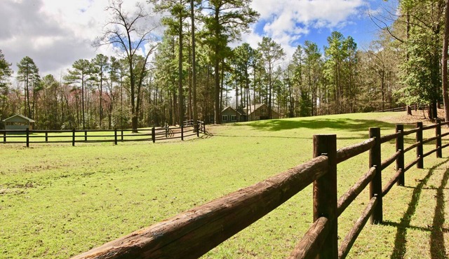 Peaceful Horse Farm Retreat — bring your dogs!