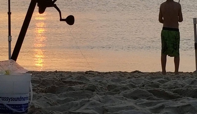 Pet Friendly cottage w/game room by Delaware Bay Beach