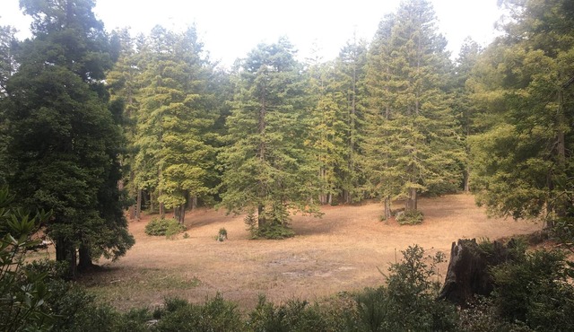 Private Beach + 10-acre meadow with creek, Dog-Friendly Nature lovers Paradise!