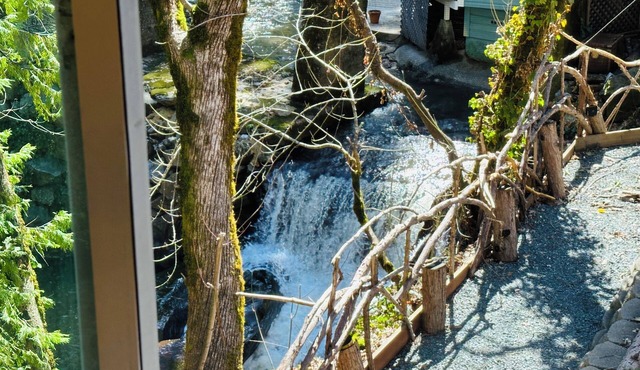 Private creekside cottage adjacent to the historic Flume's End Bed & Breakfast