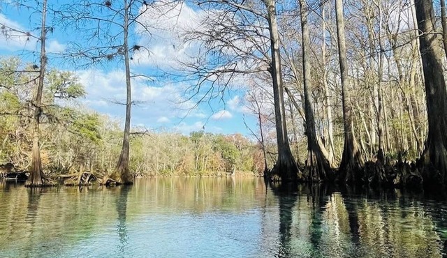 SPRING HAVEN RETREAT! A BEUTIFULL ANDSPOTLESS!