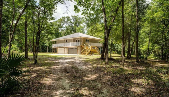 The Tree House