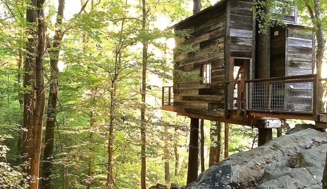 Treetop Hideaways: Luna Loft