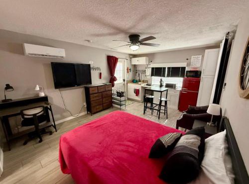 Units near USF - RubyRoom, RedRoom, Emerald Place