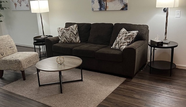 Upscale Apartment w/Pool, Near Restaurants, Hospital, Malls, Interstate & Arena