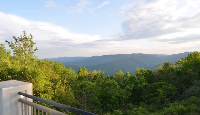 Views, Vibes & Starry Skies! Dog Friendly Mountaintop on the Parkway