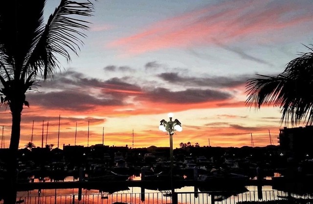 Marina Real Condo #6 Condo