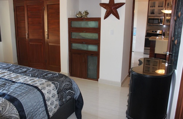 Ocean View Condo with access to Private swimmable beach.
