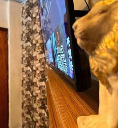 Orizaba Hotel | 20 m² Hotel ∙ 2 guests