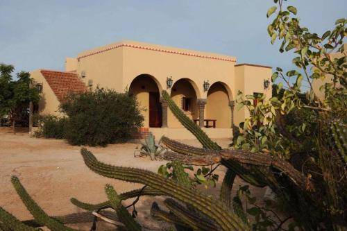 La Ventana Bed & Breakfast | 43 m² Bed and breakfast ∙ 2 guests