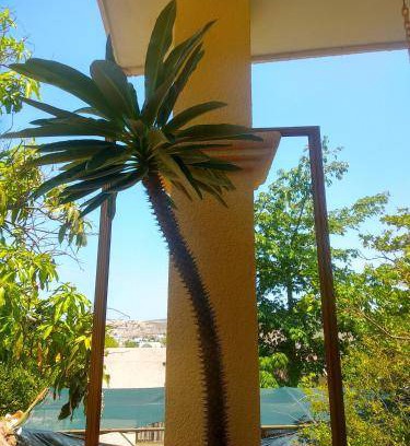 La Paz Bed & Breakfast | 60 m² Bed and breakfast ∙ 6 guests
