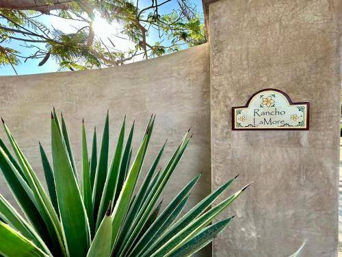 El Pescadero Apartment | Apartment ∙ 1 bedroom ∙ 2 guests