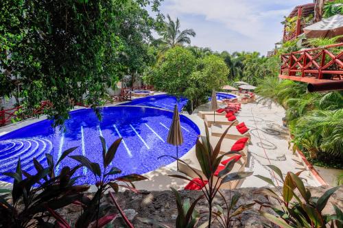 North End Hotel | Apartments at Pajaro de fuego Sayulita