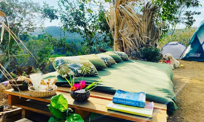 Mazunte Hostel | Bajo las Estrellas eco camp