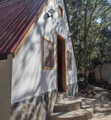 Xilitla Apartment | Cabaña Calandria