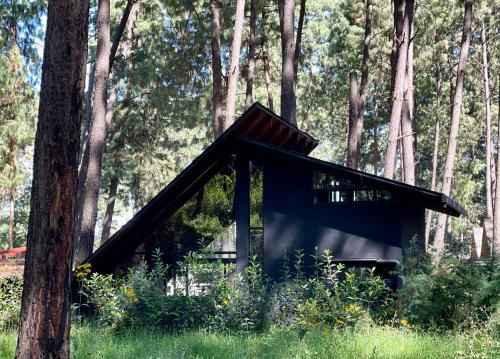 Valle de Bravo Apartment | Cabaña en el bosque