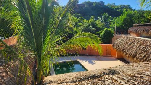 Mazunte Hostel | Casa Antonio Mazunte