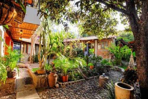 Ajijic House | Casa Aurora Garden Retreat