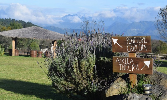 Zacatlan Hotel | Casa Kitsch, un paraíso en la Sierra de Puebla
