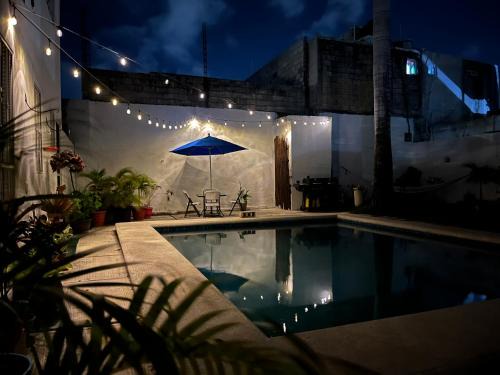 San Miguel House | Casa Toadfish