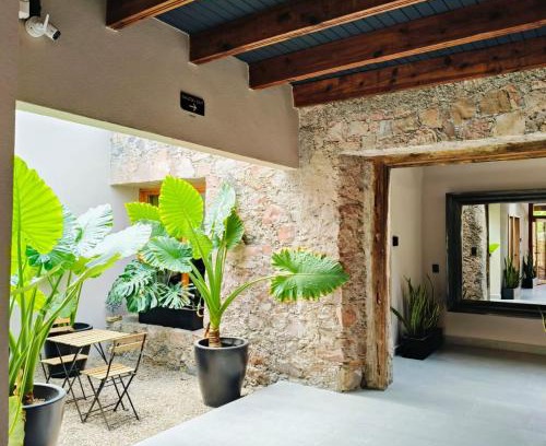 Downtown Queretaro Apartment | Hacienda Álamos