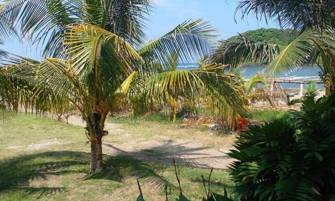 Sontecomapan Hostel | hostal