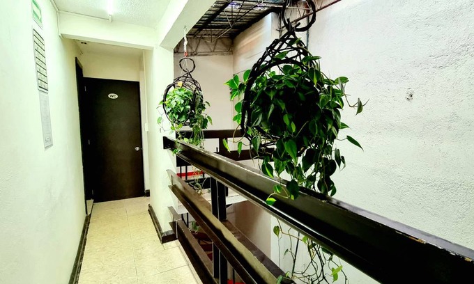 Cuauhtemoc Hostel | Hostel ∙ 8 guests