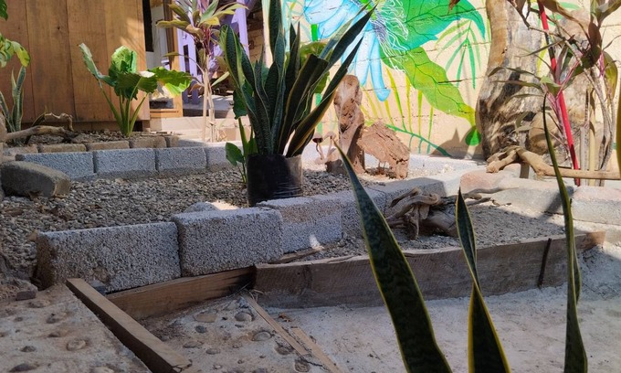 Mazunte Hostel | Hostel ∙ 8 guests