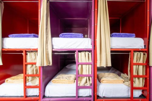 Colonia Centro Hostel | Hostel Bemaro Mexico City