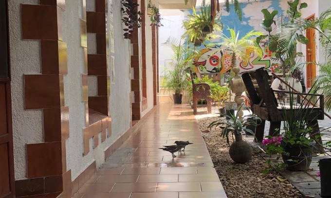 Rio Verde Hotel | Hotel ∙ 4 guests