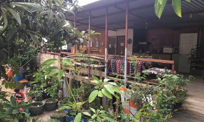 Oaxaca Hostel | La Casa Del Nenufar - Hostel