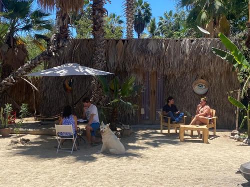 Todos Santos Hostel | La Sardina