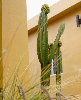 Ensenada Villa | 40 m² Villa ∙ 1 bedroom ∙ 4 guests