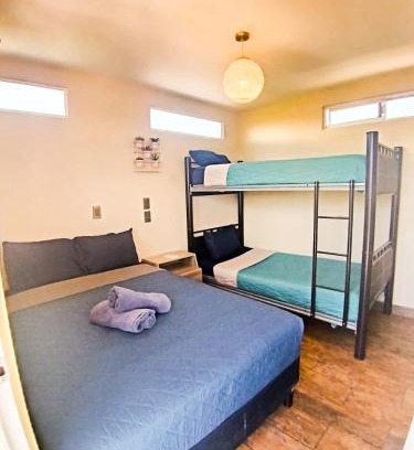 Durango House | Rose Room literas , Paseo Durango