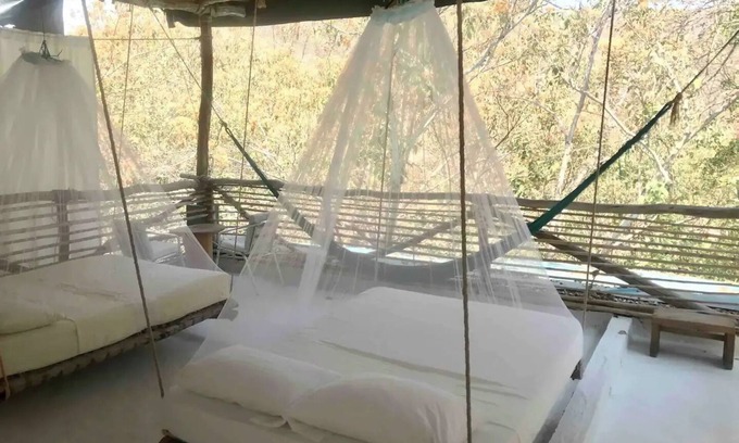 Arroyo Cruz House | Tree house Pergola Swimming pool at a virgin beach