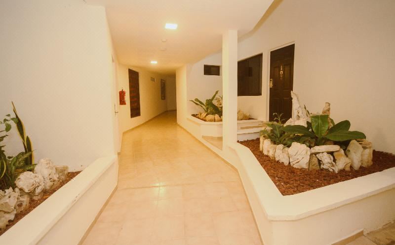 Photo of Livingroom in Palenque