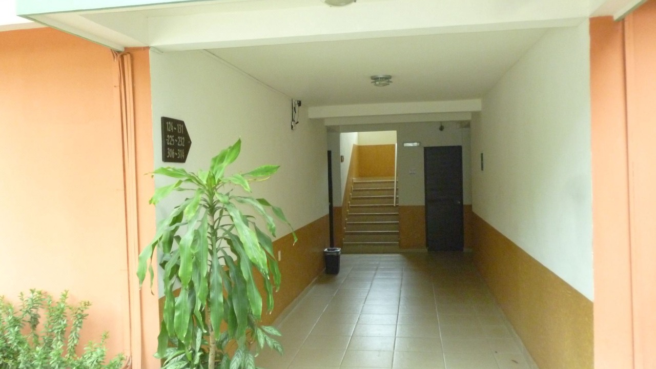 Photo of Others in Palenque