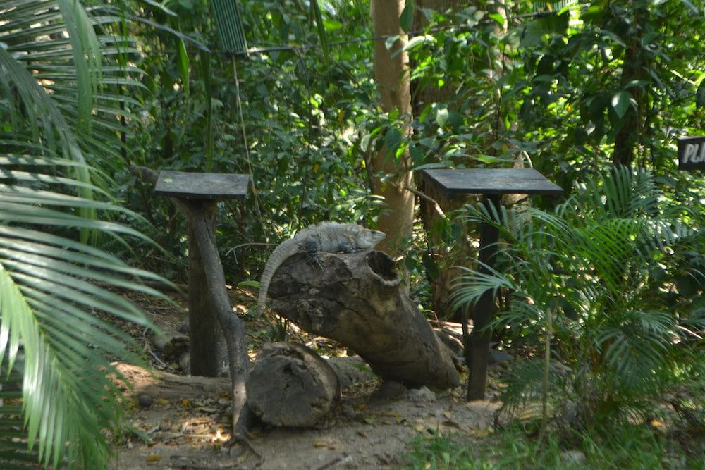 Photo of Others in Palenque