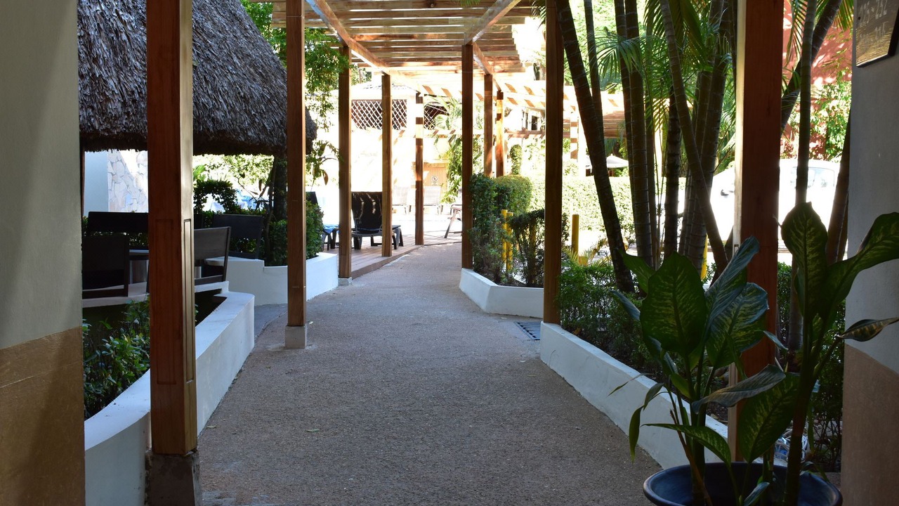 Photo of Others in Palenque