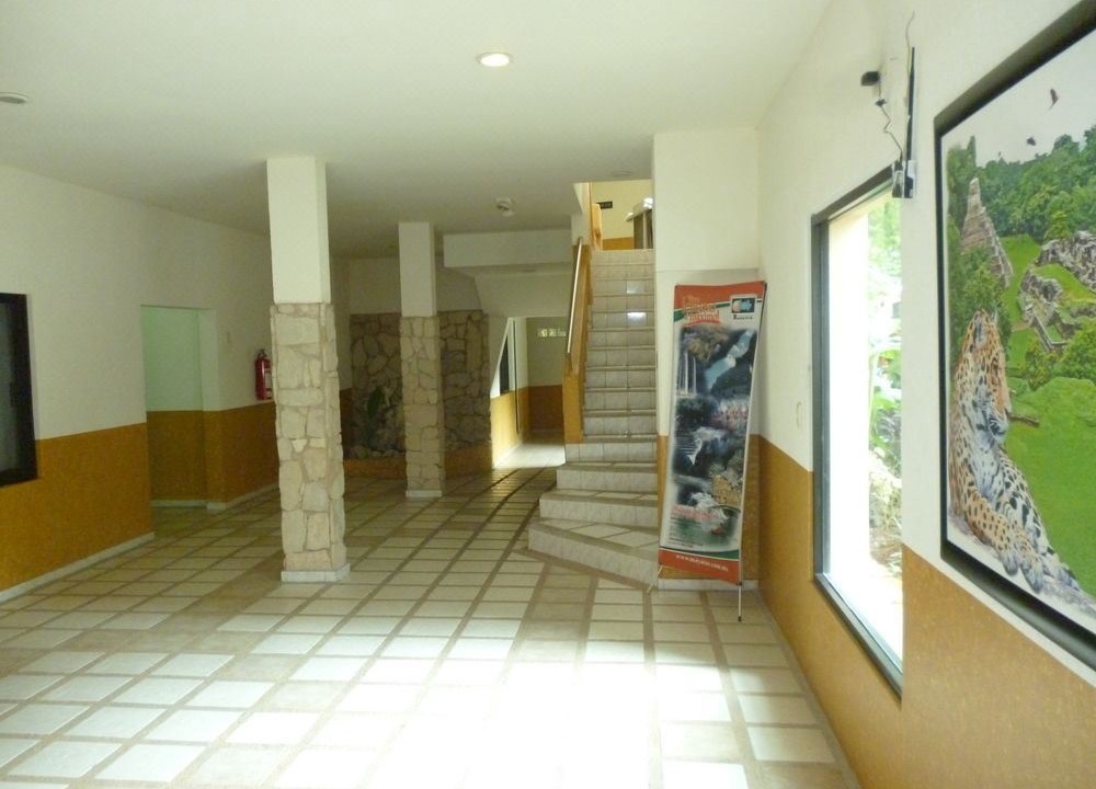 Photo of Others in Palenque
