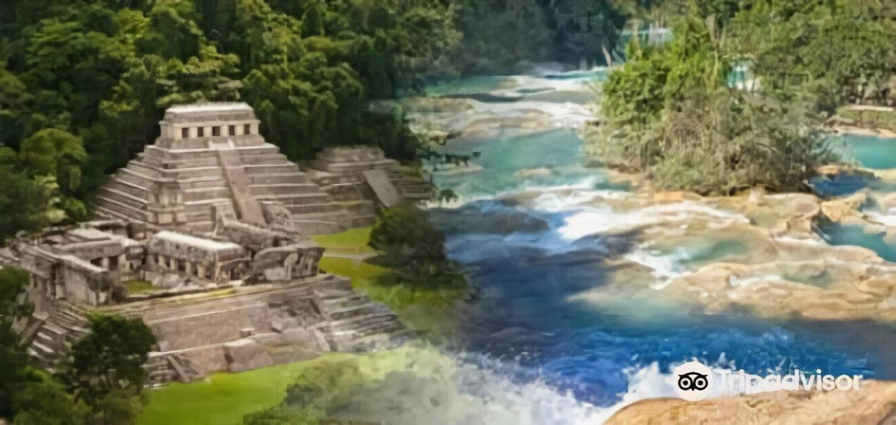 Photo of Others in Palenque