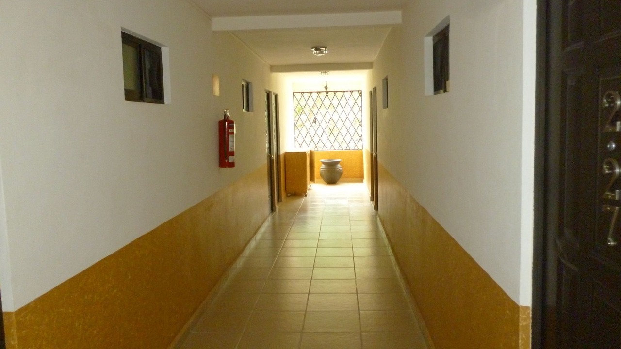 Photo of Others in Palenque