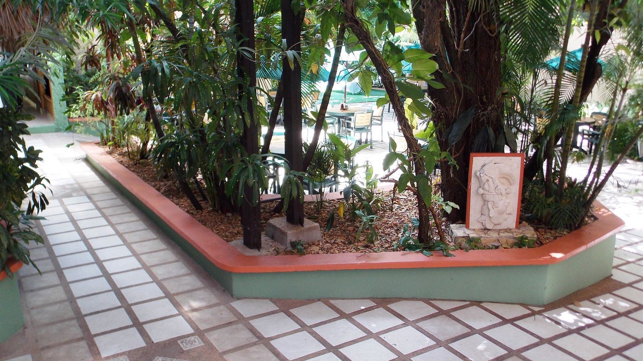 Photo of Others in Palenque