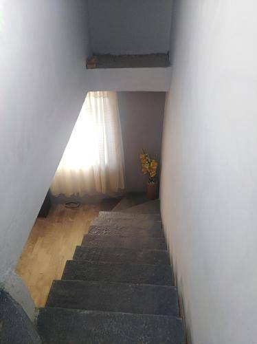 Photo of Others in Cholula