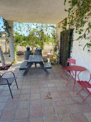 Photo of Others in Todos Santos