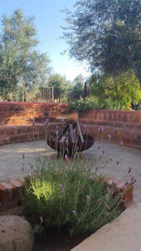 Photo of Others in Valle de Guadalupe