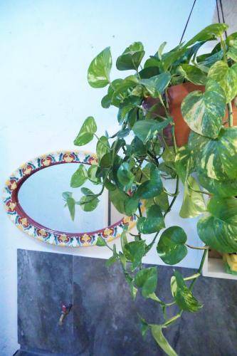 Photo of Others in Del Carmen